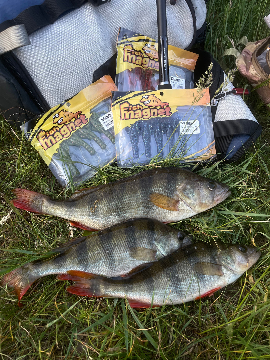 9 fish on 5 different lures and colors! Very interesting fishing!