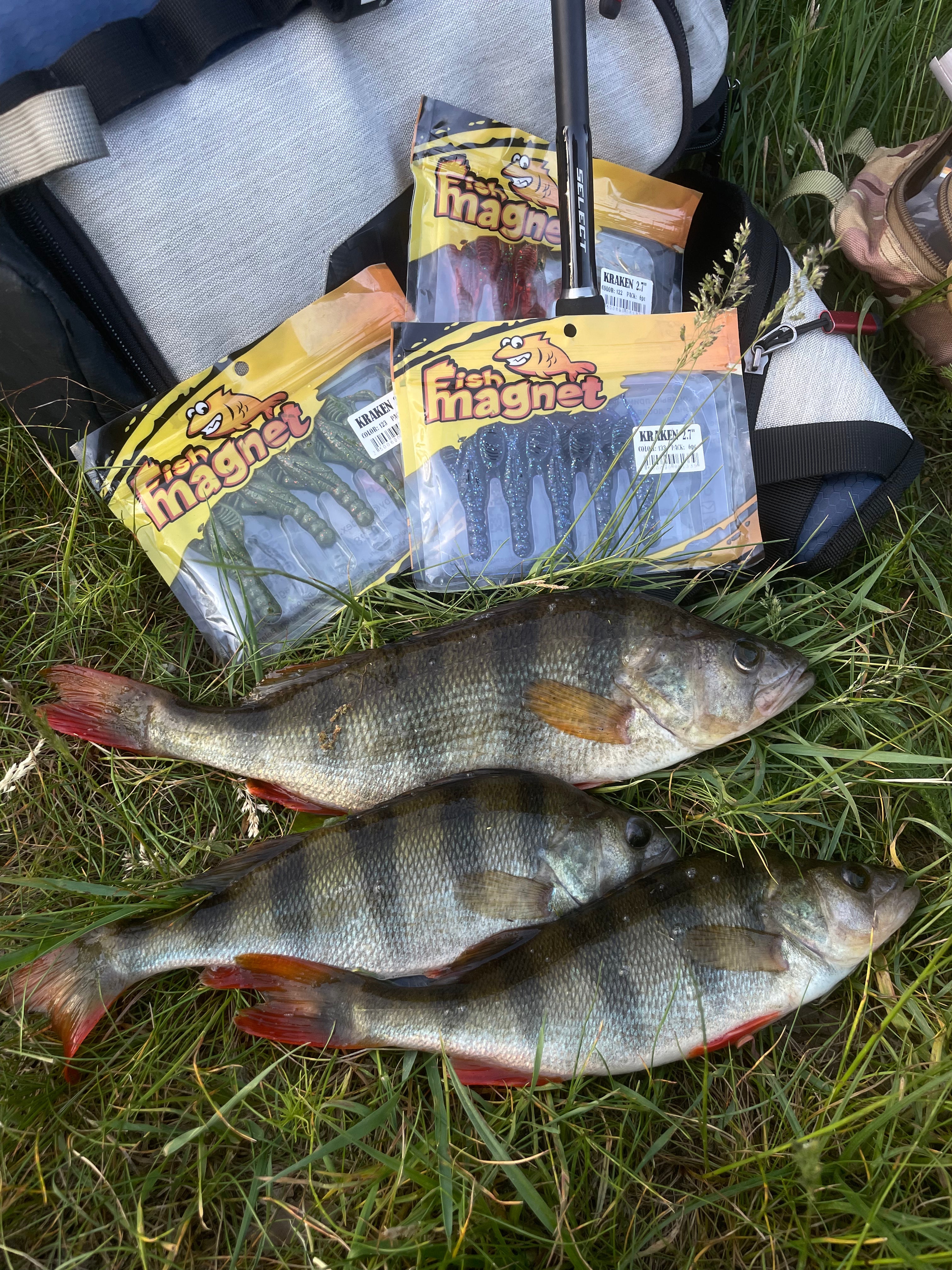 9 fish on 5 different lures and colors! Very interesting fishing!