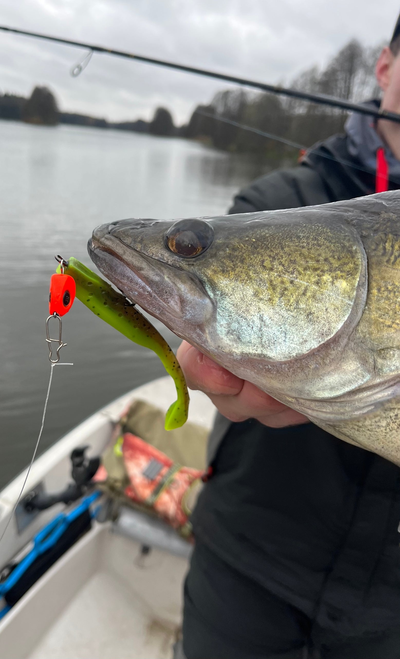 NEW Zander lure it's DaG 10cm