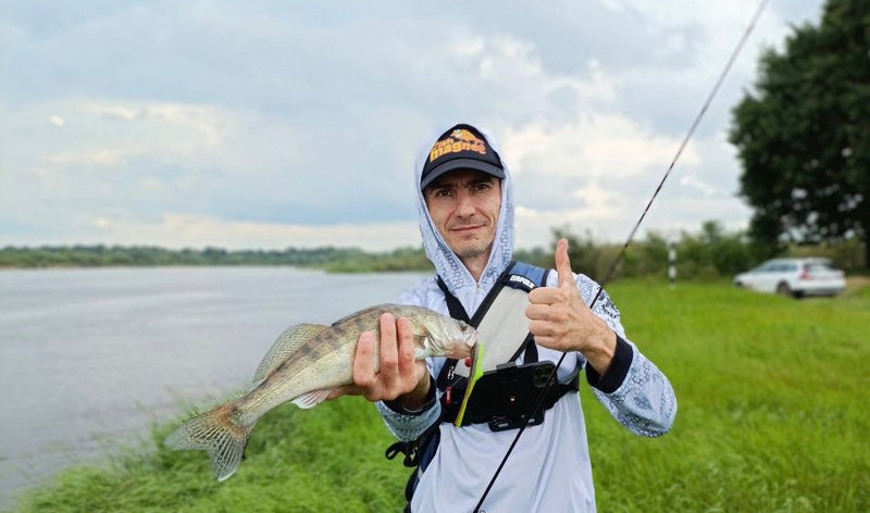 TOP 10 zander lures