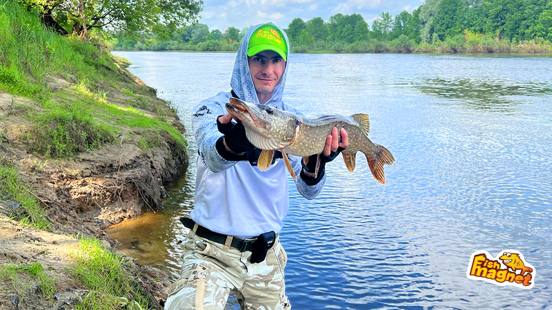 TOP 10 pike lures