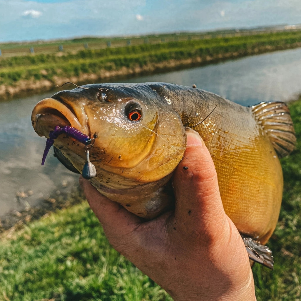 FISH MAGNET BITA Soft Scented Fishing Lure