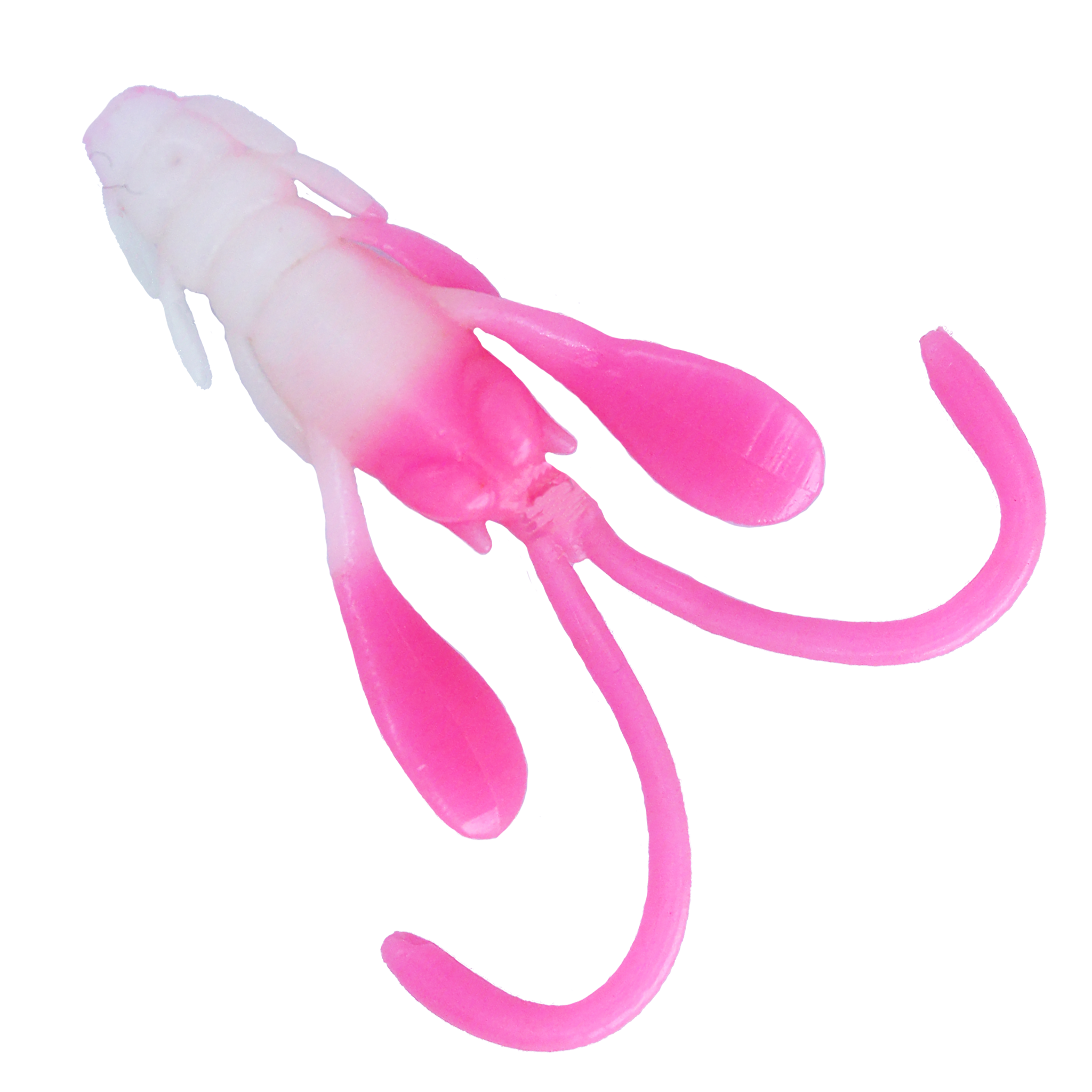 FISH MAGNET BANNY 4.5cm Trout Bait – Fish Magnet Lures