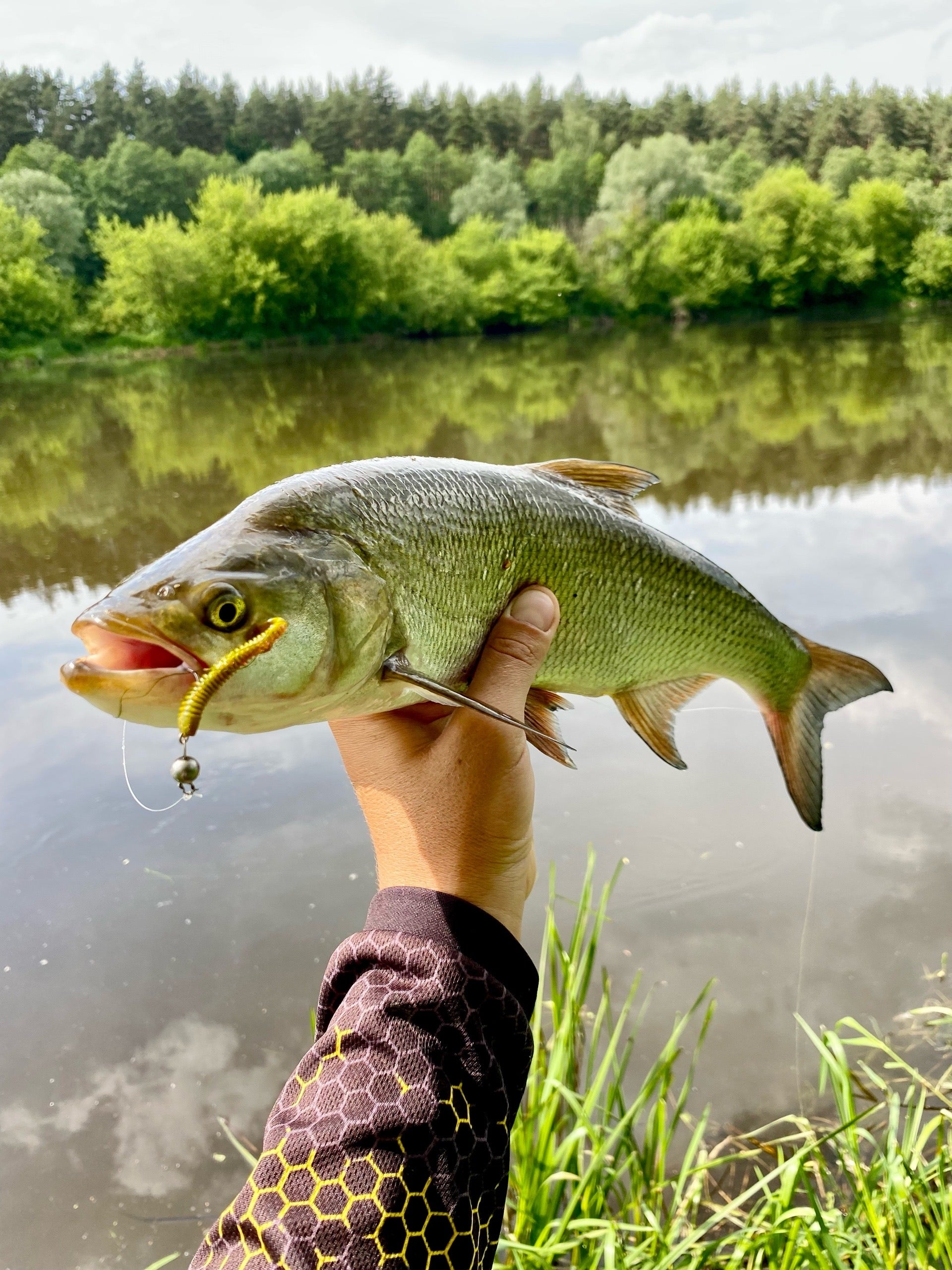 FISH MAGNET CHOPPY Soft Scented Fishing Lure