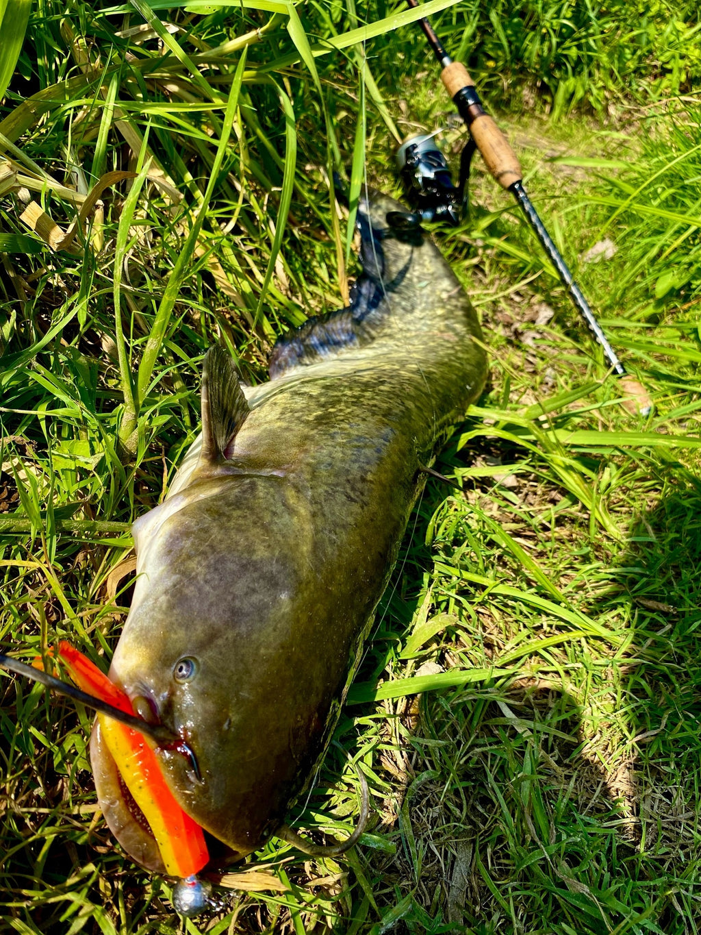 FISH MAGNET DaG Soft Scented Fishing Lure