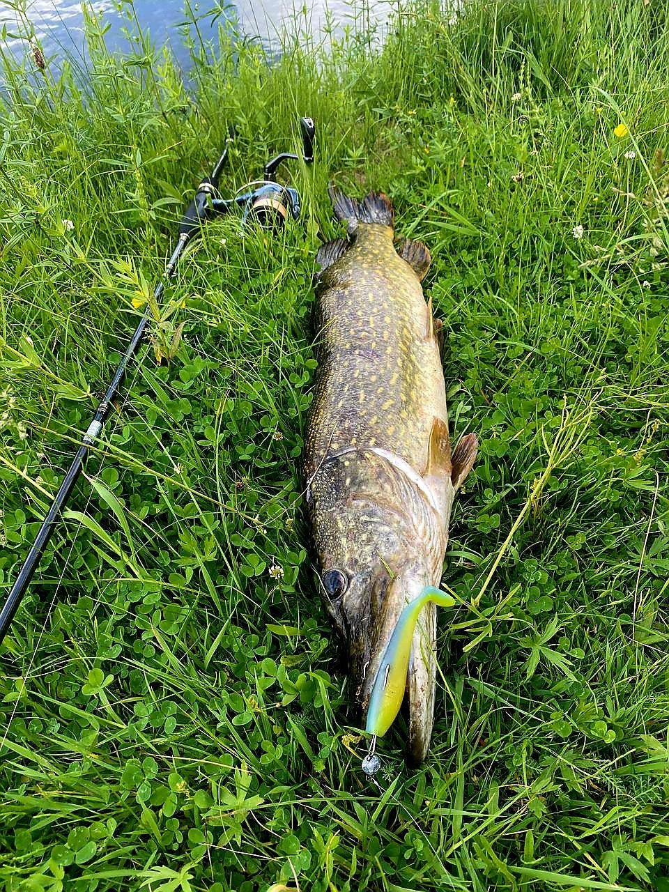 FISH MAGNET BARABASHKA Double Color Soft Scented Fishing Lure