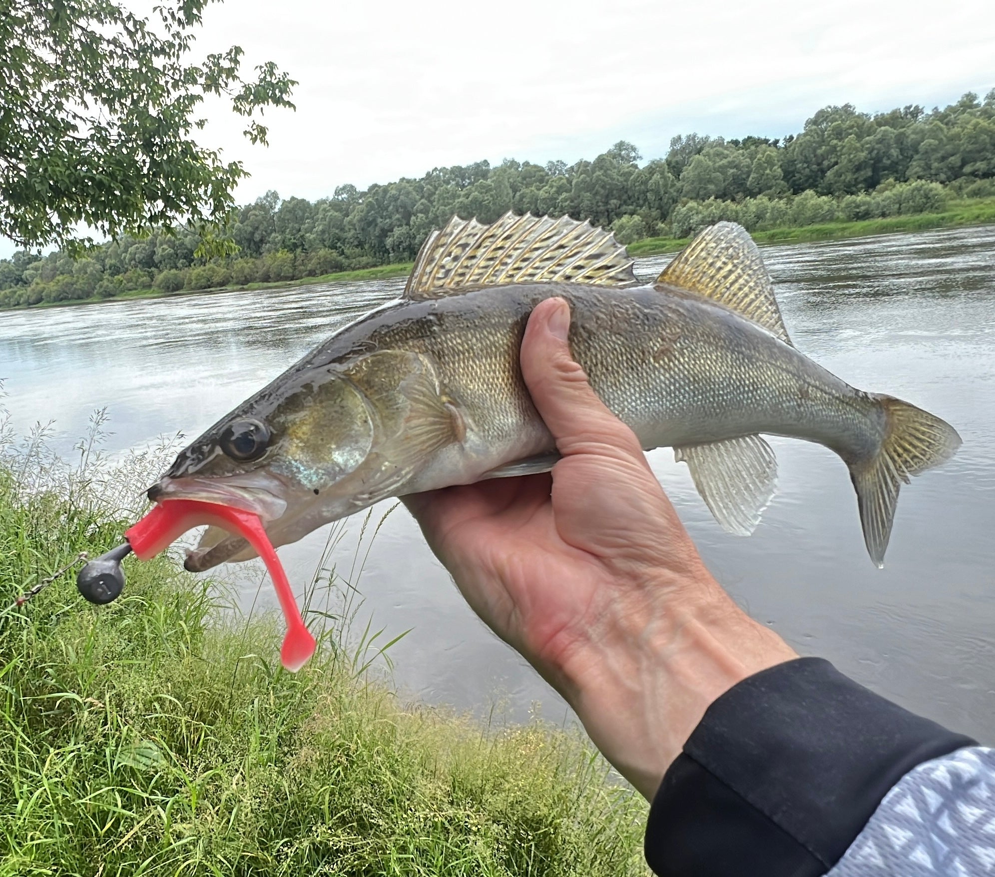 FISH MAGNET DaG Soft Scented Fishing Lure