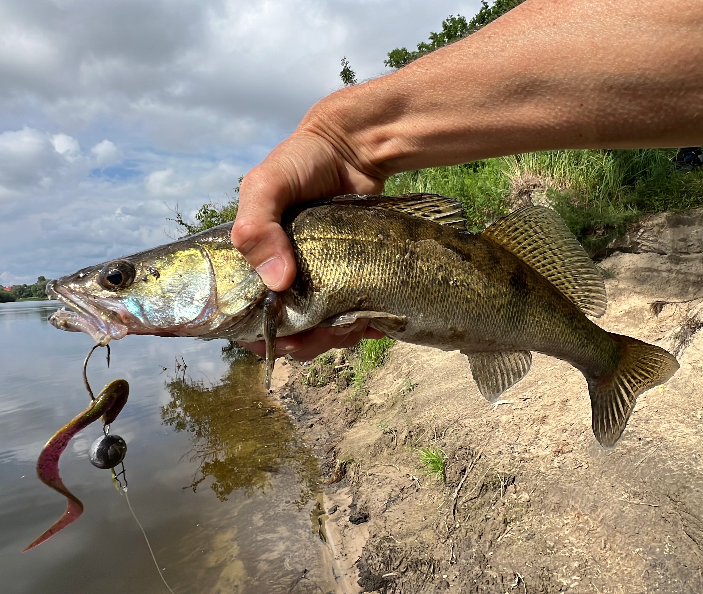 FISH MAGNET UGOR Soft Scented Fishing Lure