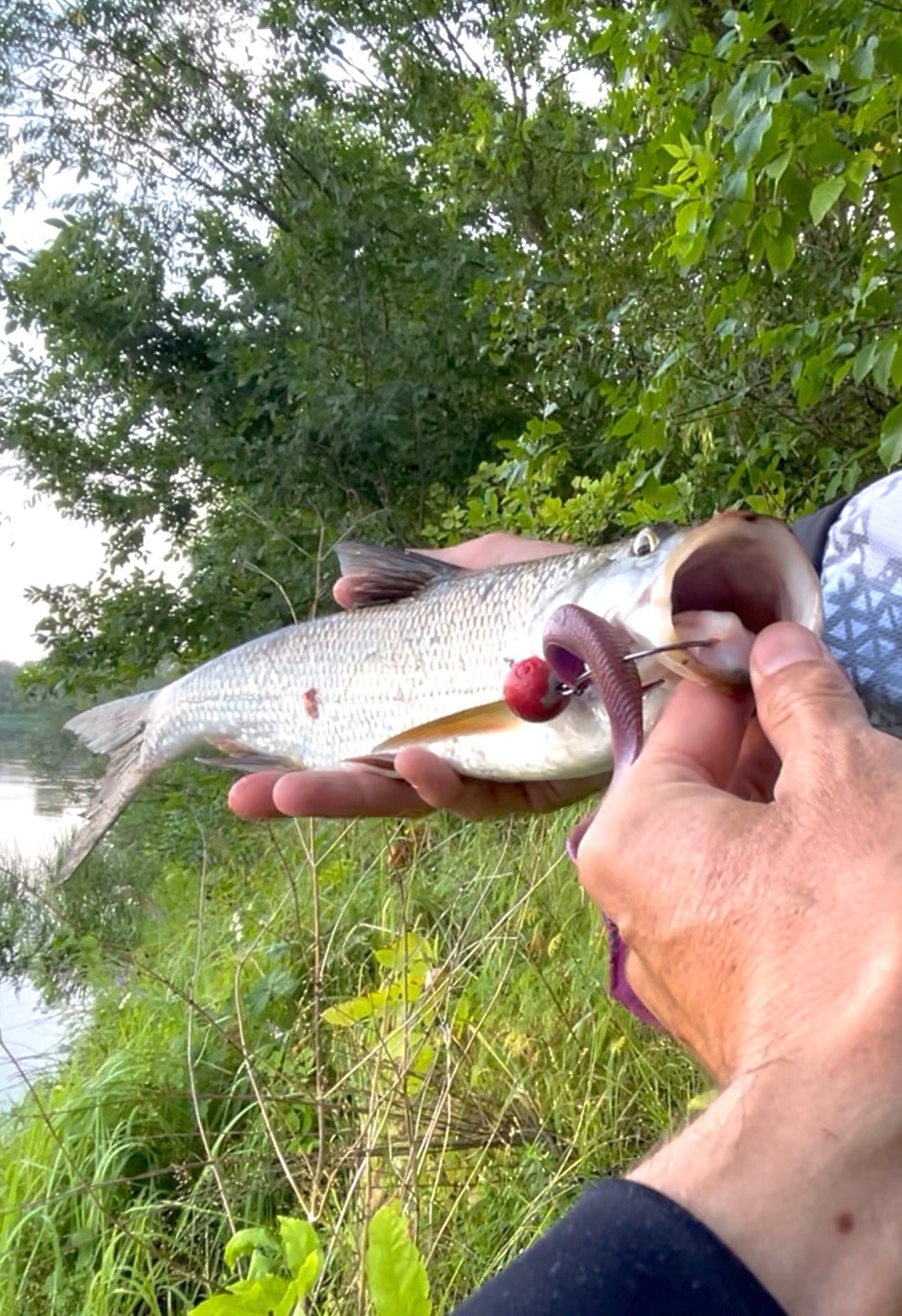 FISH MAGNET UGOR Soft Scented Fishing Lure