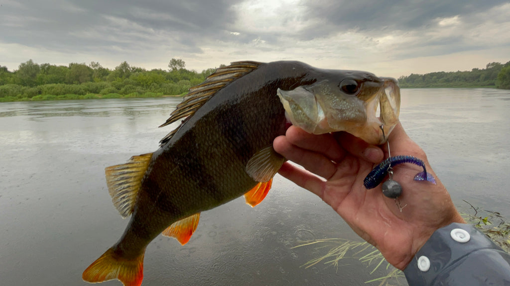 FISH MAGNET CHOPPY FAT Soft Scented Fishing Lure