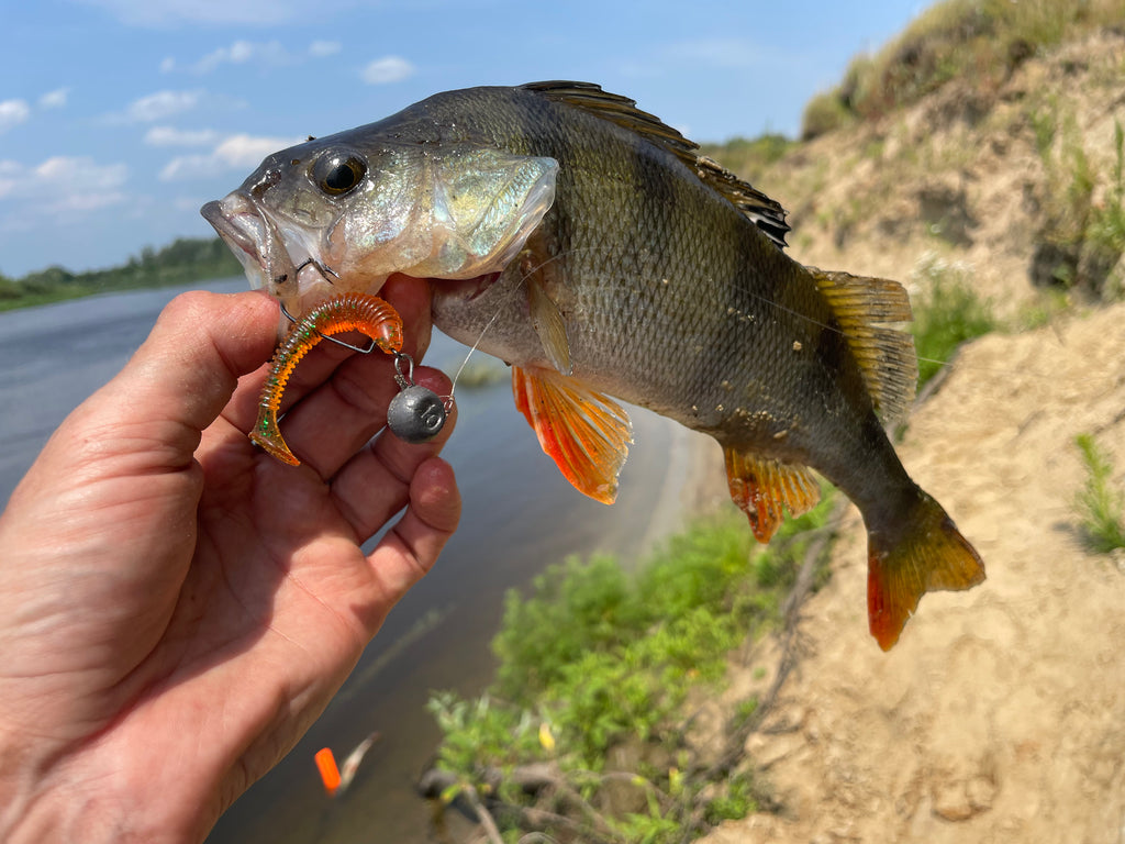 FISH MAGNET CHOPPY FAT Soft Scented Fishing Lure