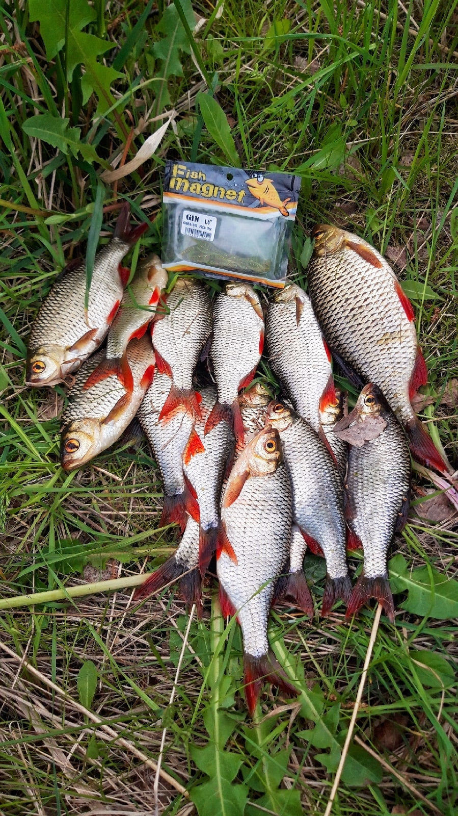 FISH MAGNET BITA Soft Scented Fishing Lure