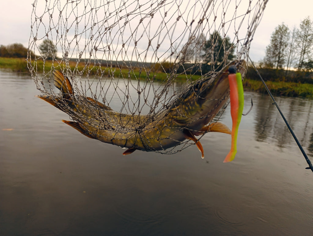 FISH MAGNET DaG Soft Scented Fishing Lure