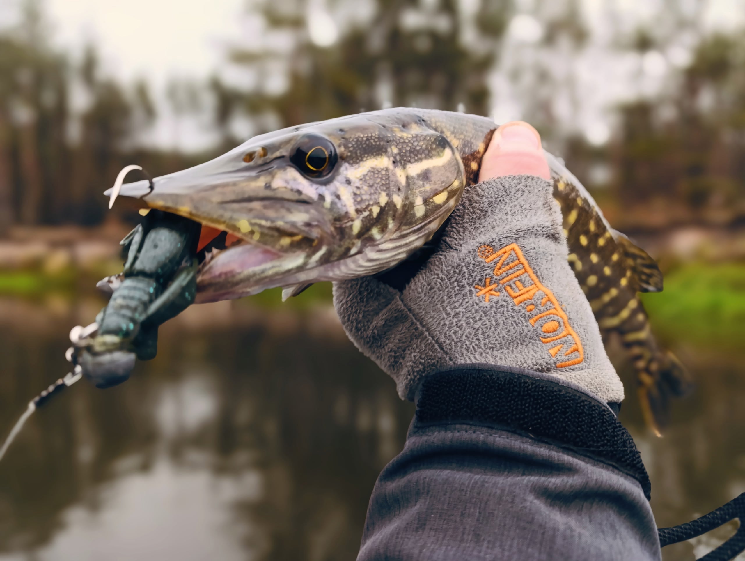 FISH MAGNET SEBASTIAN Soft Scented Fishing Lure