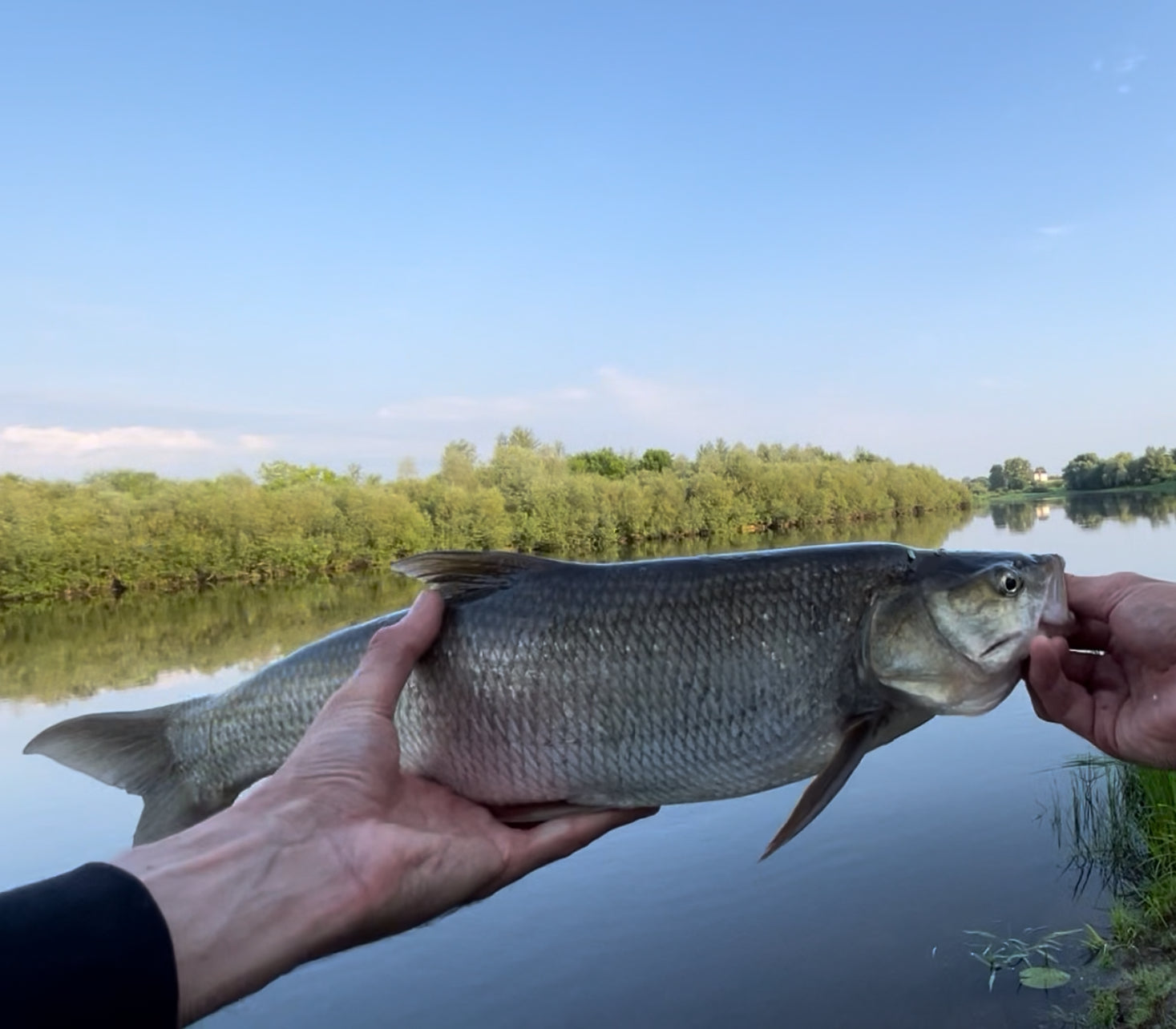 FISH MAGNET STICK Soft Scented Fishing Lure