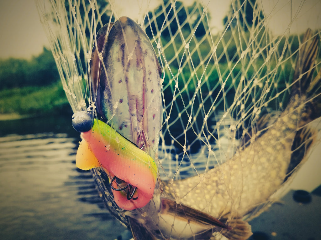 FISH MAGNET SELEDETS Double Color Fishing Lure